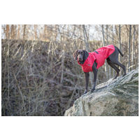 Trixie Vimy esőkabát kutyáknak, élénksárga, világoskék, zöld és piros színben #23