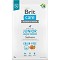 Brit Care Grain-Free Junior Large Breed Salmon & Potato