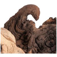 Mopani afrikai vasfa akváriumba #3