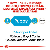 Royal Canin Golden Retriever Puppy - Golden Retriever kölyök kutya száraz táp #5
