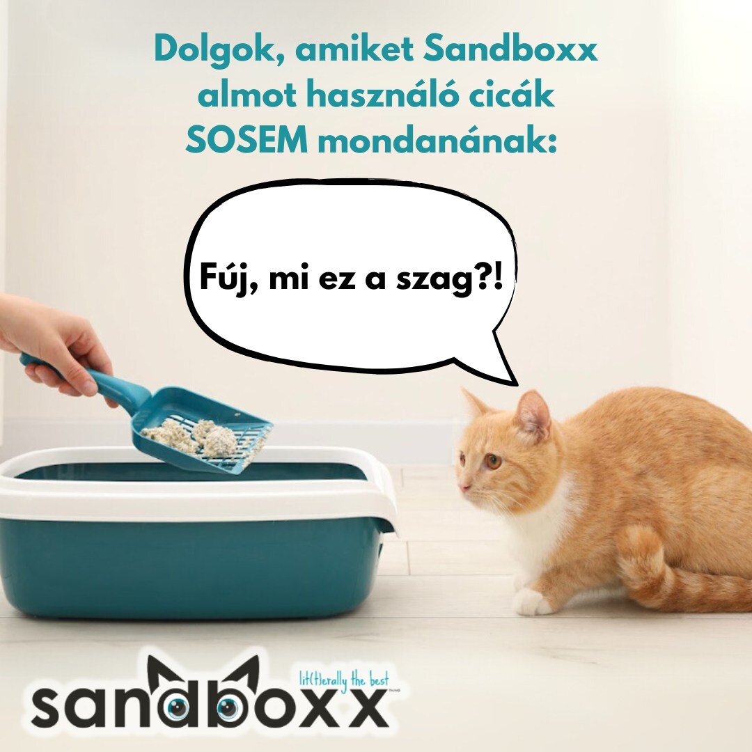 Nisip parfumat Sandboxx, formare de bulgări, pentru litiera - zoom