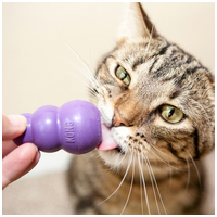 Kong Cat Kitty Kong #3