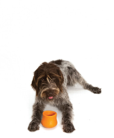 West Paw Toppl - Jutalomfalattal tölthető kutyajáték