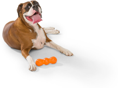 West Paw Rumpus rágóbot