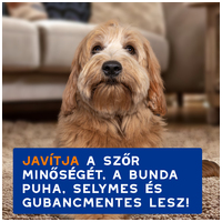 Douxo Spa gubancoldó sampon kutyáknak #6