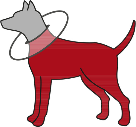 Szivacsos védőgallér kutyáknak