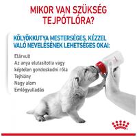 Royal Canin '1st Age Milk #3