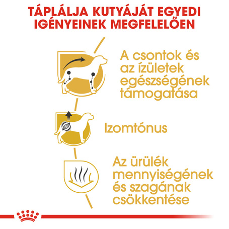 Royal Canin Dachshund Adult - Tacskó felnőtt kutya száraz táp