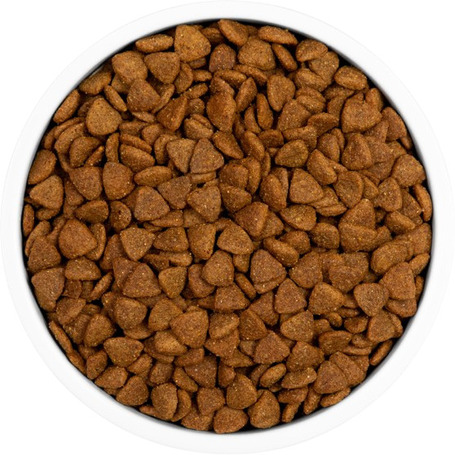 Eminent Diet Dog Mobility | Ízületi és mozgásszervi rendszerek támogatására