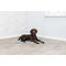 Trixie Soft Cooling Mat - Saltea răcoritoare pentru câini, de culoare gri