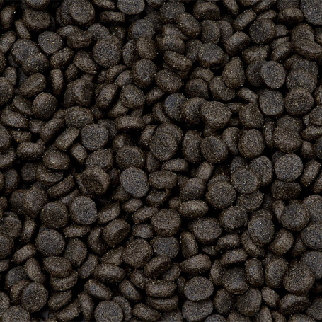 Sam's Field Junior Large Fresh Chicken & Potato