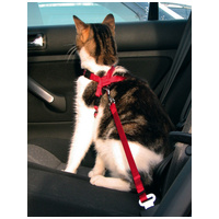 Trixie autós biztonsági öv + hám macskáknak