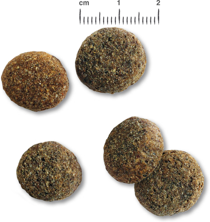 Belcando Senior Sensitive | Táp idős, érzékeny kutyáknak