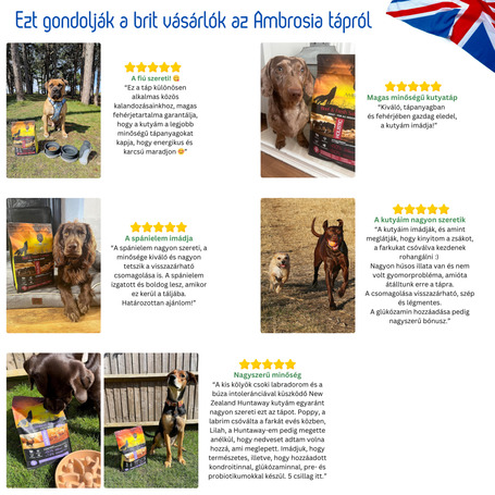 Ambrosia Dog Grain Free Senior, Light & Sterilized