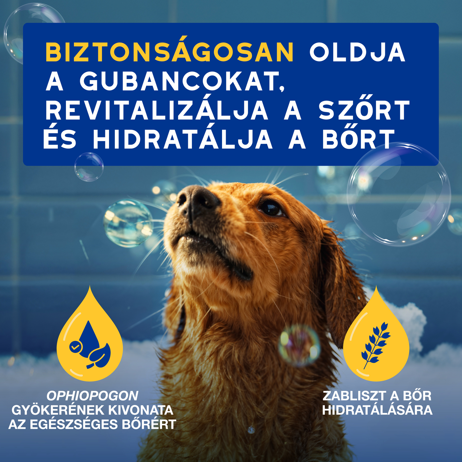 Douxo Spa balsam pentru câini - zoom