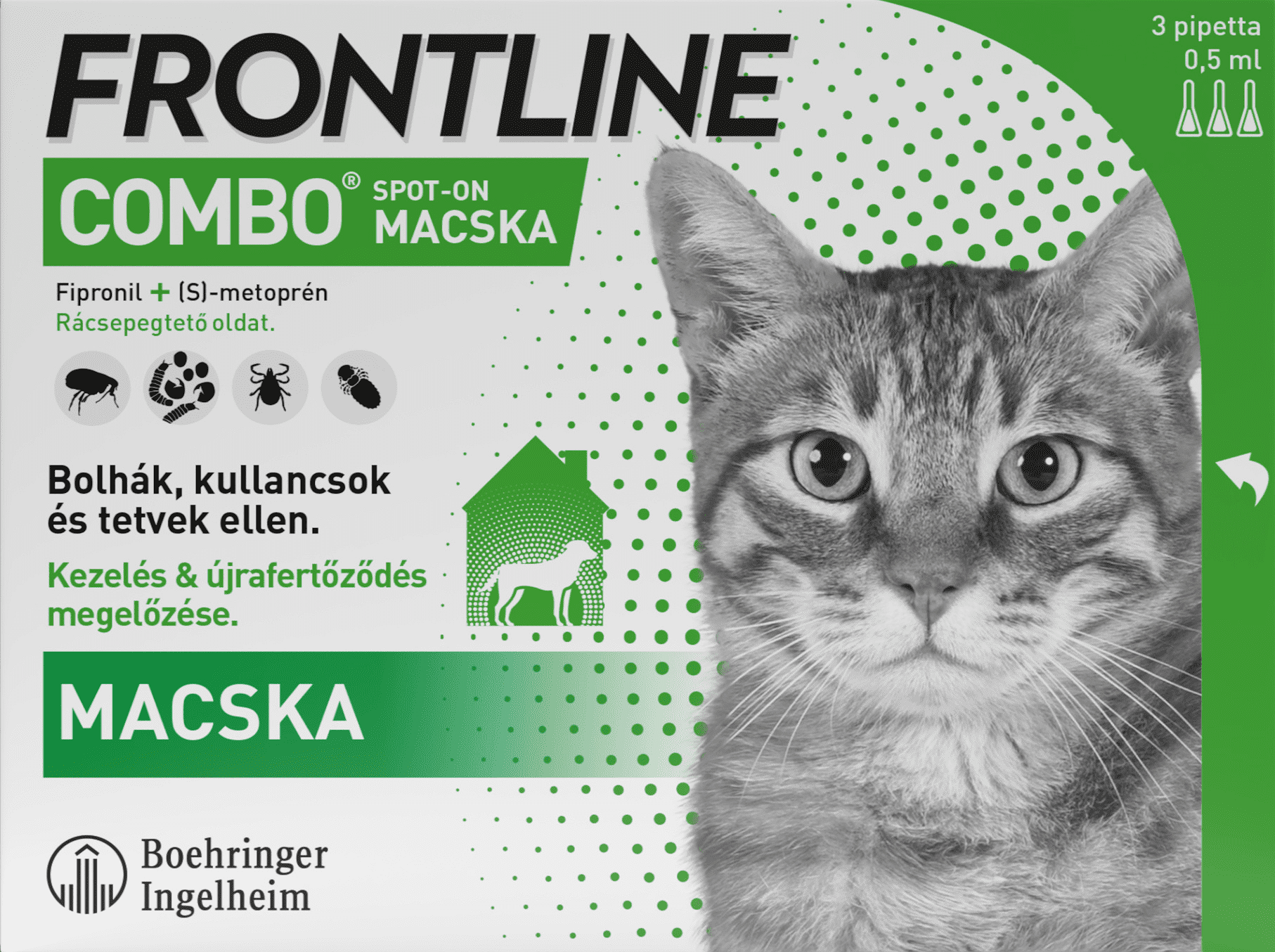 Frontline Combo macska