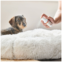 Beaphar CaniComfort feromonos nyugtató spray kutyáknak #7