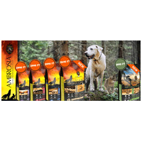 Ambrosia kutyatáp hírek📰 Új ízek, régi lelkesedés - Két izgalmas újdonsággal is jelentkezünk