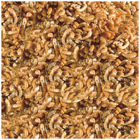 Sera Raffy I víziteknős táp #2