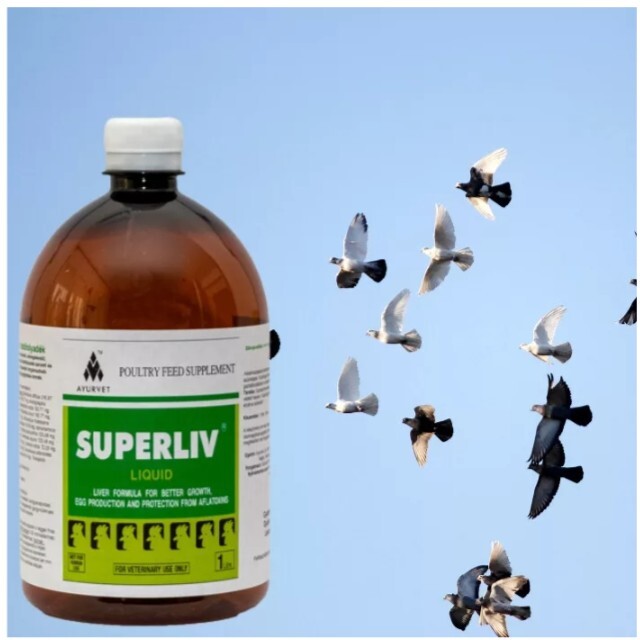 Superliv lichid de băut cu plante protectoare hepatice - zoom