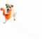 West Paw Tizzi - Multifunkcionális kutyajáték