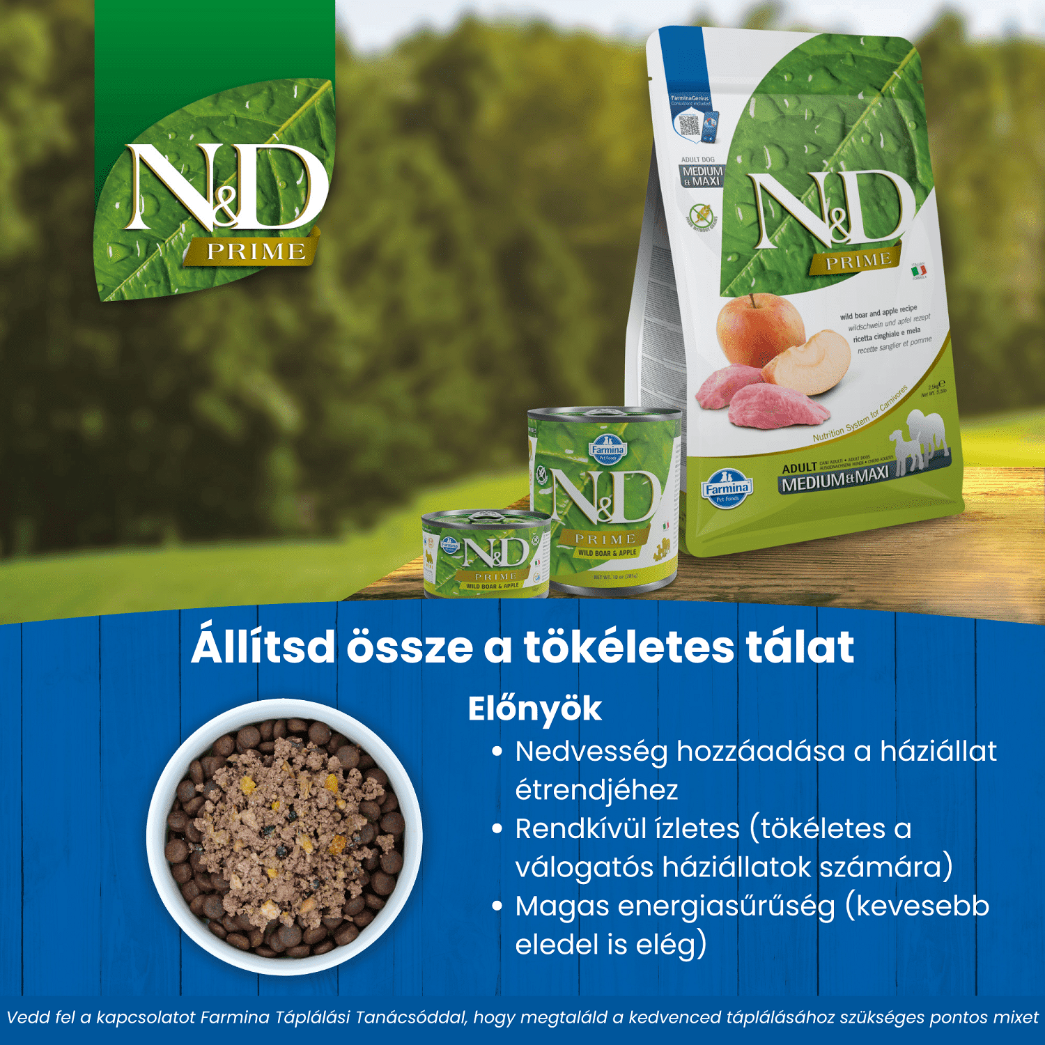 N&D Dog Adult Mini Boar & Apple Grain Free | Vaddisznóhúsos és almás kutyaeledel | Kistestű kedvenceknek