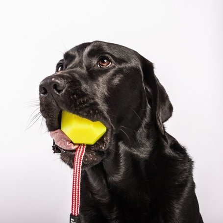 Julius-K9 IDC neon fluoreszkáló labda