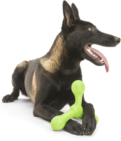 West Paw Skamp - Apport kutyajáték