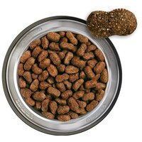 Belcando Baseline Young - Kutyaeledel 4 hónapos kortól #3