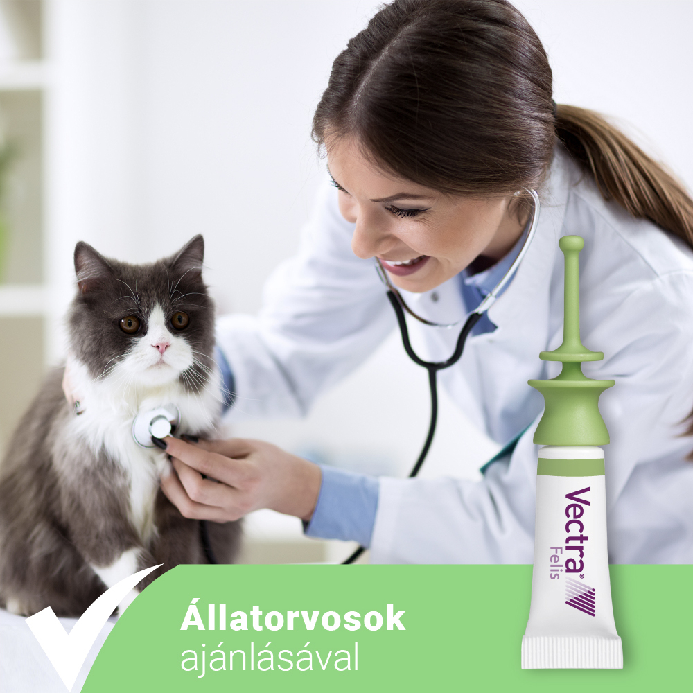 Vectra Felis bolhák elleni spot on macskáknak