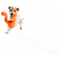 West Paw Tizzi - Multifunkcionális kutyajáték #8