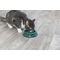 Trixie gumi talpas műanyag tál macskáknak
