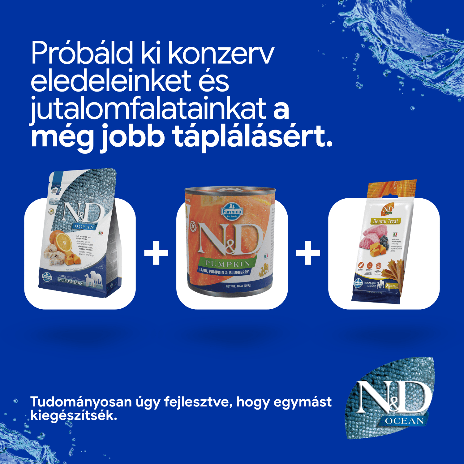 N&D Dog Ocean Adult Medium/Maxi sütőtök, tőkehal & narancs | Közepes és nagytestű felnőtt kutyáknak