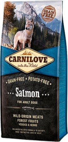 CarniLove Adult Salmon | Szuperprémium lazacos táp felnőtt kutyáknak