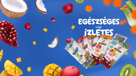 Vet Life Obesity + Dental Treat