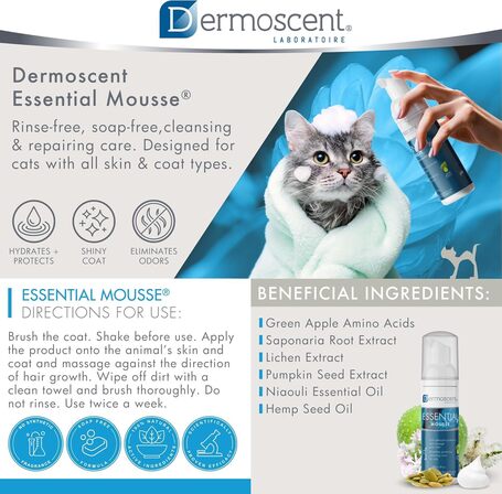 Dermoscent Essential Mousse kutyáknak és macskáknak