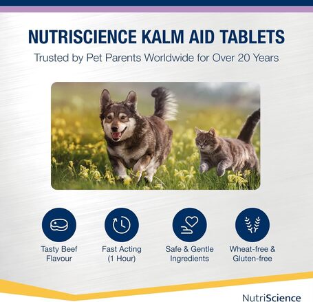 NutriScience Kalm Aid stresszoldó tabletta
