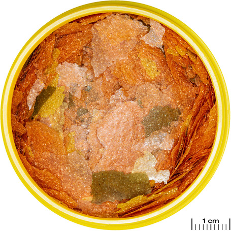 JBL ProNovo Tanganyika Flakes M