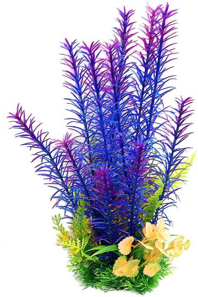 Plantă de acvariu violetă cu tulpină lungă și plantă de acvariu cu flori galbene
