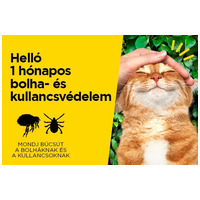 AdTab kullancs és bolha elleni rágótabletta macskáknak #2