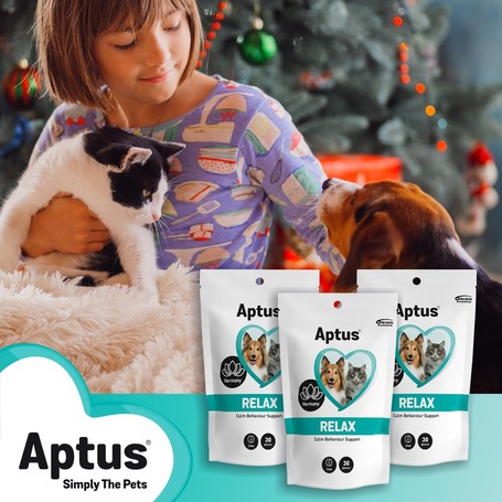 Aptus Relax gyorsan ható nyugtató rágótabletta