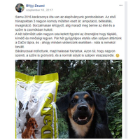 Dado Hypoallergenic Puppy Mini Fish & Rice | Hipoallergén halas táp kistestű kölyökkutyáknak #16