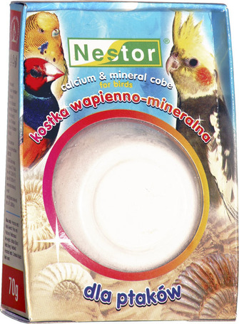 Nestor csőrkoptató madárnak