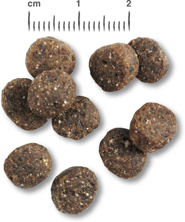 Belcando Finest Grain-Free Salmon