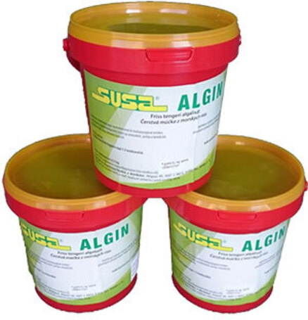 Susa Algin északi-tengeri algaliszt Susa Algin északi-tengeri algaliszt