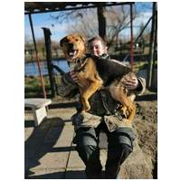 Molly, 1 éves, némejuhász keverék, szuka #2