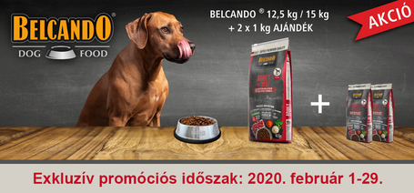 Februárban 2 kg Belcando kutyatápot adunk ajándékba