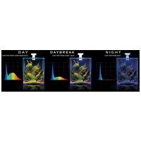 AquaEl Shrimp Set Day & Night #6