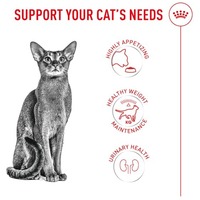 Royal Canin Fussy - válógatós macskák részére #4