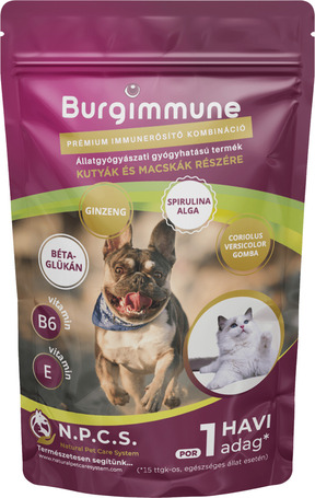 Burgimmune immunerősítő por - 1 havi adag